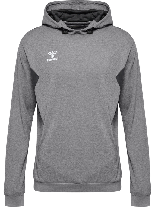 hmlAUTHENTIC PL HOODIE